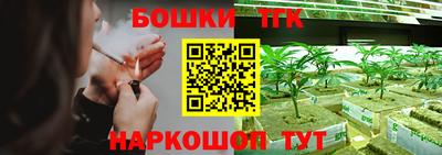 дмт Новодвинск
