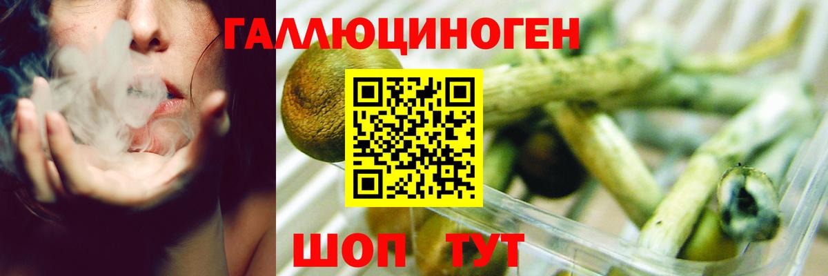 Псилоцибиновые грибы мухоморы  Вход с VPN  Скопин  Псилоцибиновые грибы мицелий 